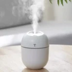 Colorful Egg Humidifier